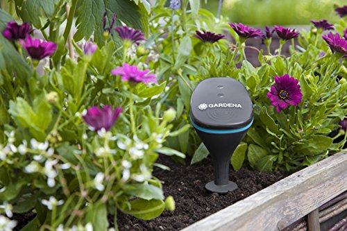 GARDENA smart Sensor - per iOS oder Android App steuerbar