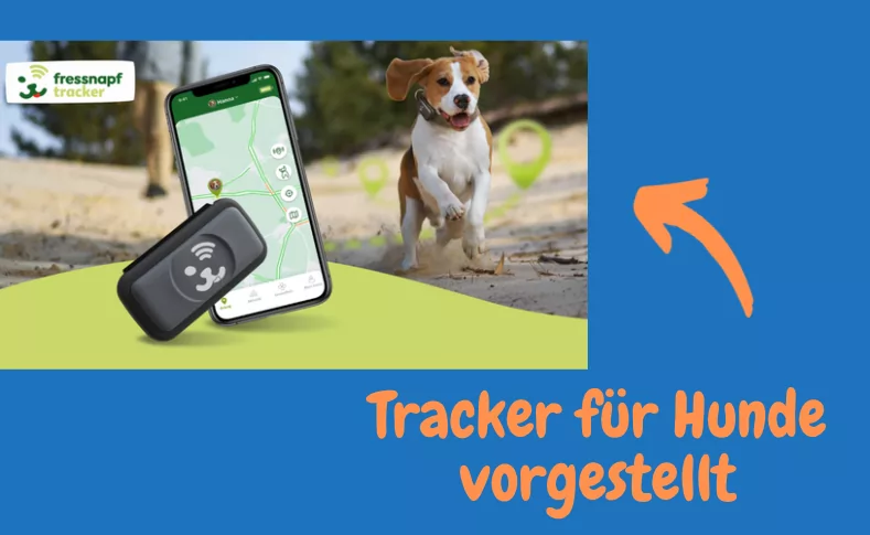 Fressnapf stellt neuen Hunde-Tracker vor - SmartHomeChecker