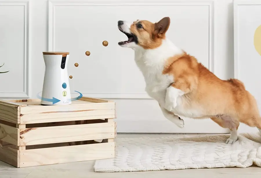 Furbo 360° Haustierkamera - Für Hunde entwickelt - mit Leckerli Funktion und Alexa Steuerung